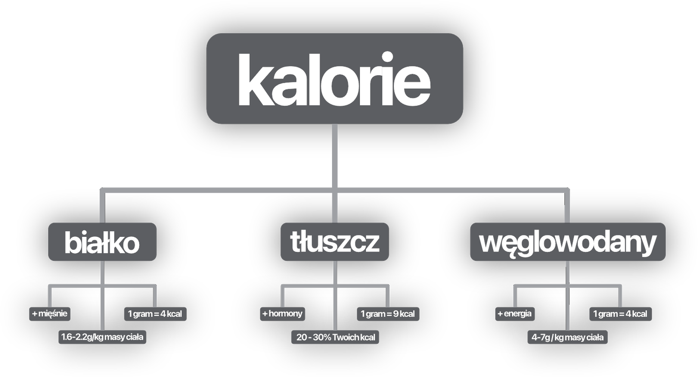 Kalorie: białko, tłuszcz, węglowodany